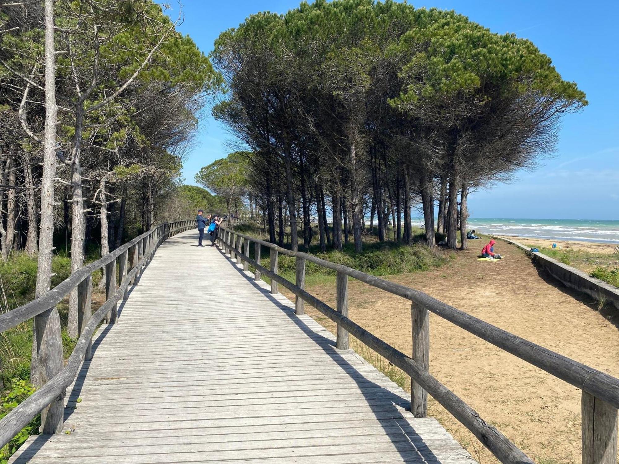 Apartment Comfy One-bedroom With Terrace And Lift Bibione