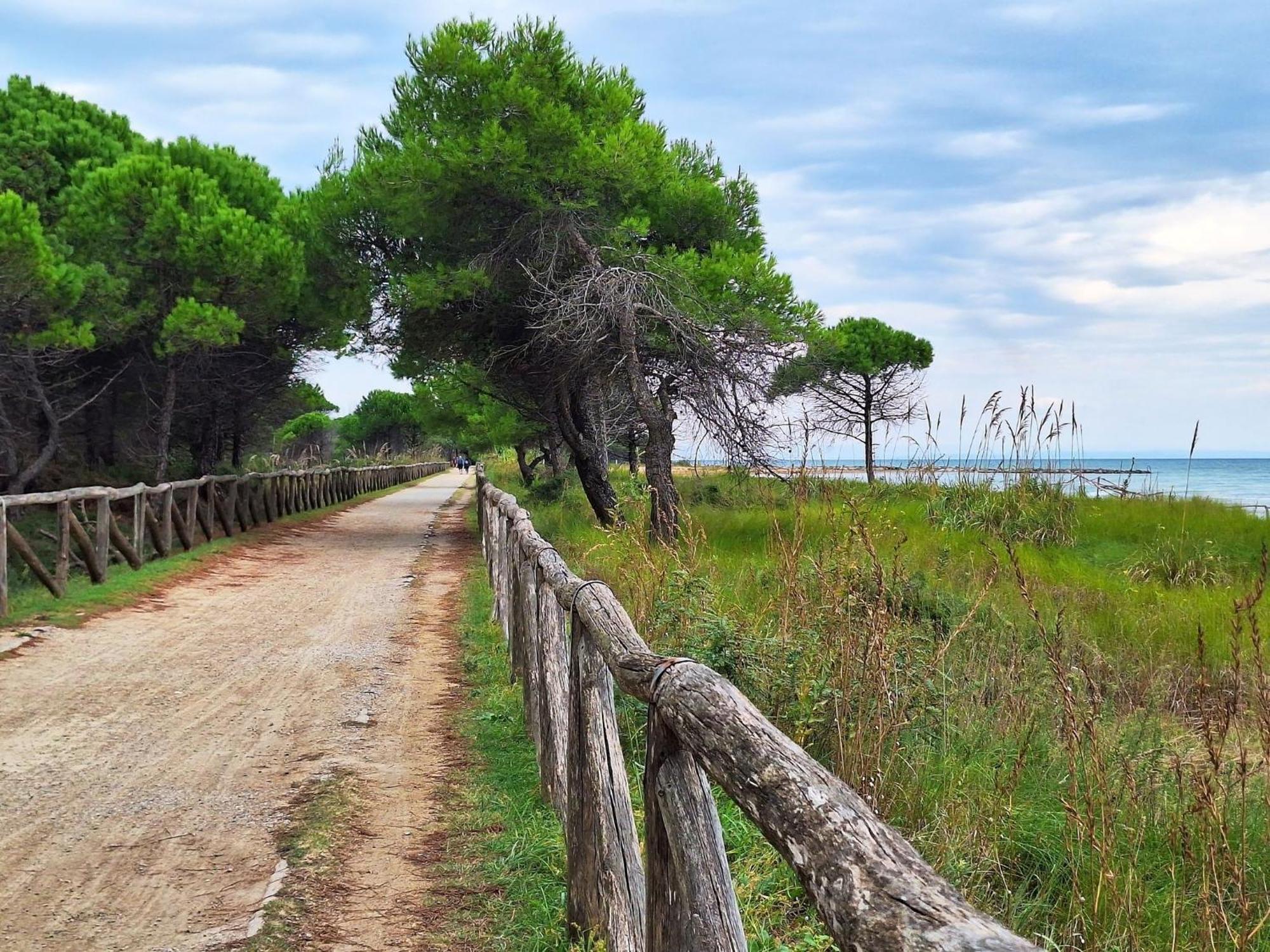 Comfy One-bedroom With Terrace And Lift * Bibione